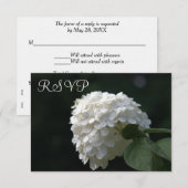 RSVP Hochzeitkarten Weiße Limone Hydrangea (Vorne/Hinten)