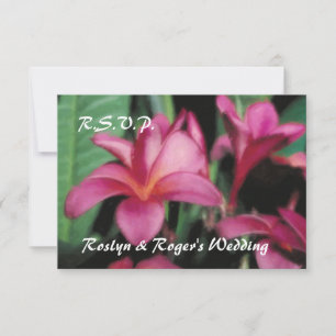 RSVP-Karten der hawaiianischen Tropischen Plumeria RSVP Karte