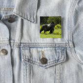 Ruanda, Volcanos-Nationalpark Button (Beispiel)