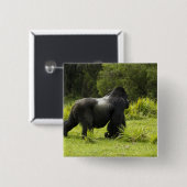 Ruanda, Volcanos-Nationalpark Button (Vorne & Hinten)