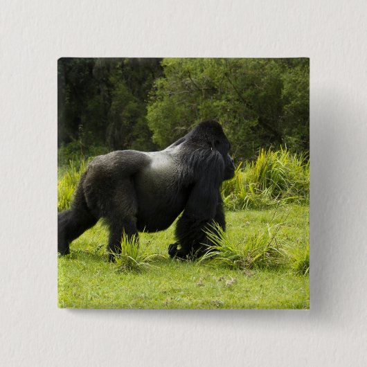 Ruanda, Volcanos-Nationalpark Button (Vorderseite)
