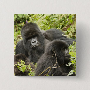 Ruanda, Volcanos-Nationalpark Button