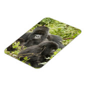 Ruanda, Volcanos-Nationalpark Magnet (Linke Seite)