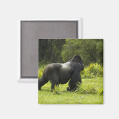 Ruanda, Volcanos-Nationalpark Magnet (Vorderseite/Rückseite)