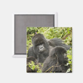 Ruanda, Volcanos-Nationalpark Magnet (Vorderseite/Rückseite)