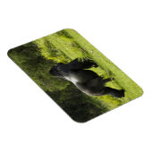 Ruanda, Volcanos-Nationalpark Magnet (Rechte Seite)