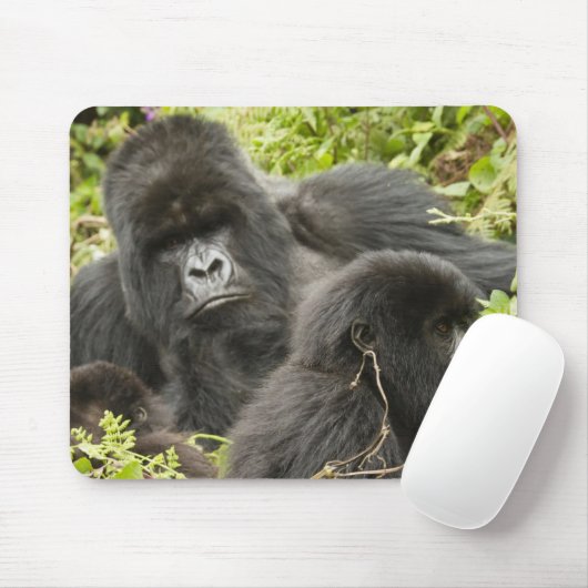 Ruanda, Volcanos-Nationalpark Mousepad (Mit Mouse)