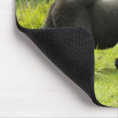 Ruanda, Volcanos-Nationalpark Mousepad (Ecke)