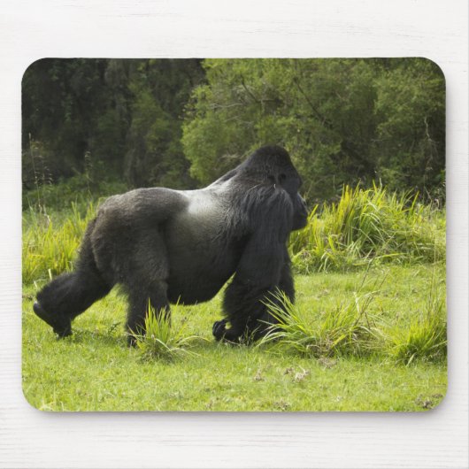 Ruanda, Volcanos-Nationalpark Mousepad (Vorne)