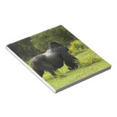 Ruanda, Volcanos-Nationalpark Notizblock (angewinkelt)