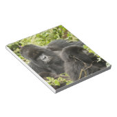 Ruanda, Volcanos-Nationalpark Notizblock (angewinkelt)
