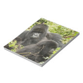Ruanda, Volcanos-Nationalpark Notizblock (Rotiert)
