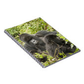 Ruanda, Volcanos-Nationalpark Notizblock (Rechte Seite)