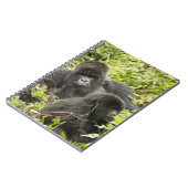 Ruanda, Volcanos-Nationalpark Notizblock (Linke Seite)