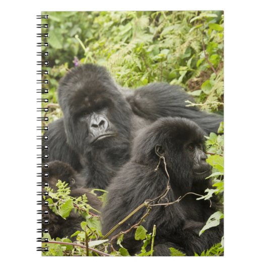 Ruanda, Volcanos-Nationalpark Notizblock (Vorderseite)
