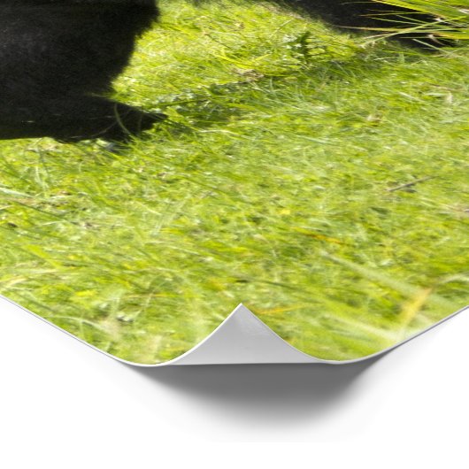 Ruanda, Volcanos-Nationalpark Poster (Ecke)