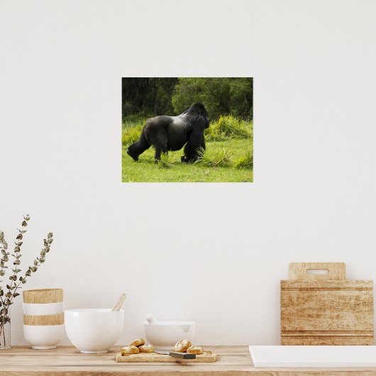 Ruanda, Volcanos-Nationalpark Poster (Küche)