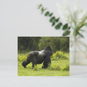 Ruanda, Volcanos-Nationalpark Postkarte (Stehend Vorderseite)