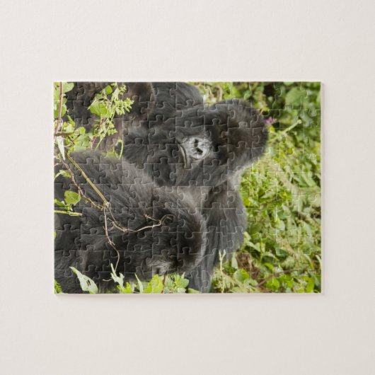Ruanda, Volcanos-Nationalpark Puzzle (Horizontal)