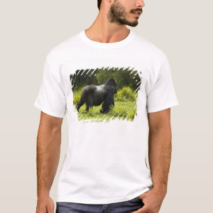 Ruanda, Volcanos-Nationalpark T-Shirt