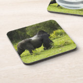 Ruanda, Volcanos-Nationalpark Untersetzer (Linke Seite)