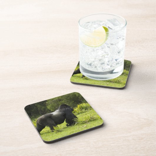 Ruanda, Volcanos-Nationalpark Untersetzer (Rechte Seite)