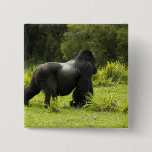 Ruanda, Vulkan-Nationalpark Button