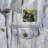 Ruanda, Vulkan-Nationalpark Button (Beispiel)