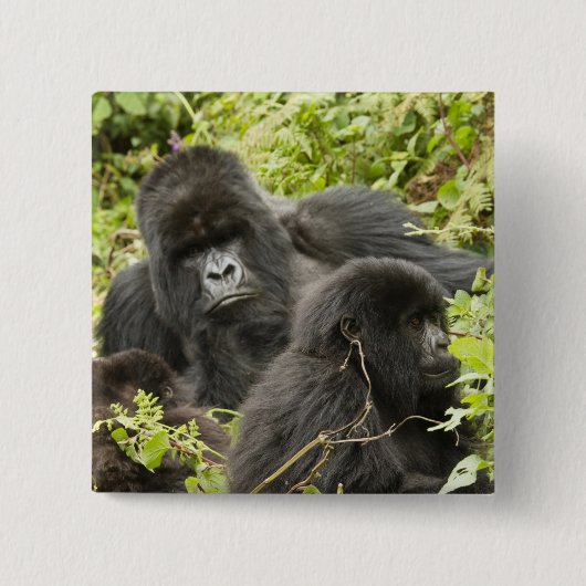 Ruanda, Vulkan-Nationalpark Button (Vorderseite)