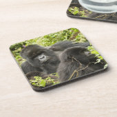 Ruanda, Vulkan-Nationalpark Getränkeuntersetzer (Linke Seite)