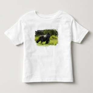 Ruanda, Vulkan-Nationalpark Kleinkind T-shirt