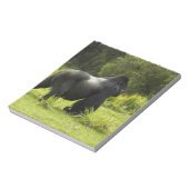 Ruanda, Vulkan-Nationalpark Notizblock (Rotiert)