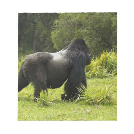 Ruanda, Vulkan-Nationalpark Notizblock (Vorderseite)
