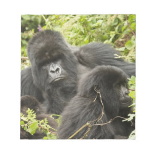 Ruanda, Vulkan-Nationalpark Notizblock