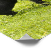 Ruanda, Vulkan-Nationalpark Poster (Ecke)