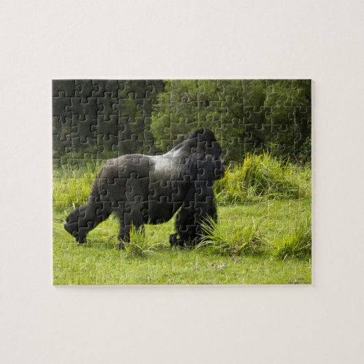 Ruanda, Vulkan-Nationalpark Puzzle (Horizontal)