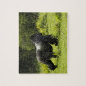 Ruanda, Vulkan-Nationalpark Puzzle (Vertikal)