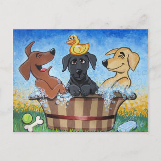 Rub a dub dub 3 Labs in a Tub Postcard Postkarte