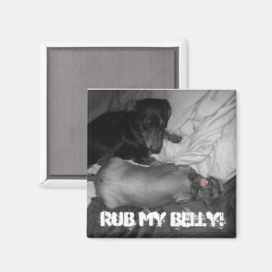 Rub mir den Bauch! Magnet (Vorderseite/Rückseite)