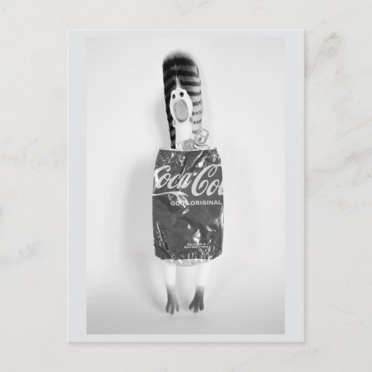Rubber Chicken Recycle Fashion Postcard Postkarte (Vorderseite)