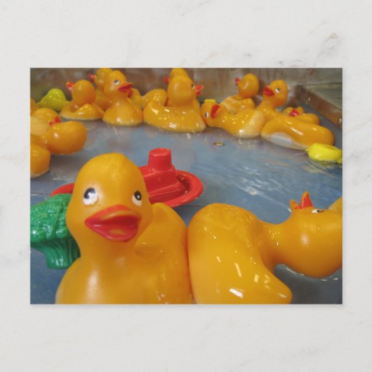Rubber Duckies Postkarte (Vorderseite)