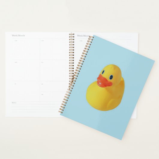 Rubber Ducky Planer (Anzeige)