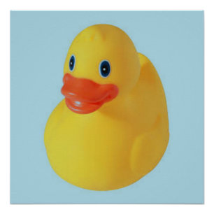 Rubber Ducky Poster