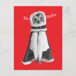 Rubber Hühnchen Santa Postcard Postkarte