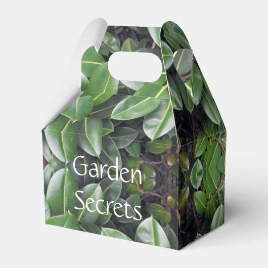 Rubber Tree Leaf Muster Geschenkschachtel (Vorderseite)