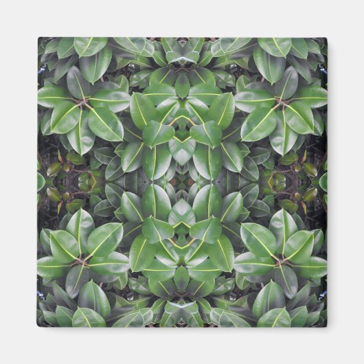 Rubber Tree Leaf Muster Magnet (Vorne)