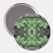 Rubber Tree Leaf Muster Magnet (Vorderseite/Rückseite)