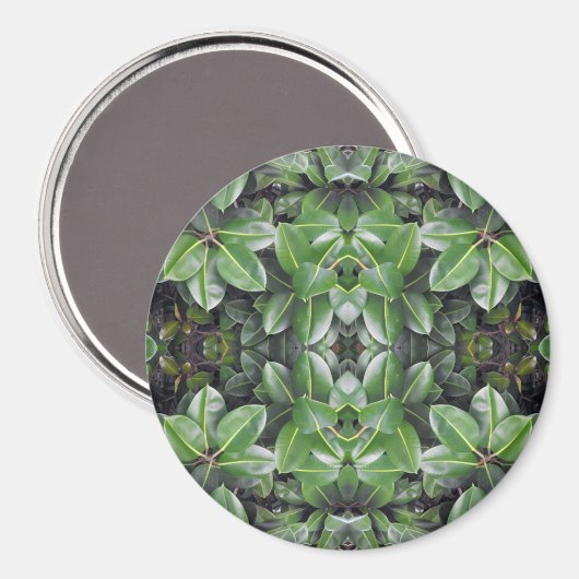 Rubber Tree Leaf Muster Magnet (Vorderseite/Rückseite)