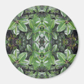 Rubber Tree Leaf Muster Magnet (Vorne)