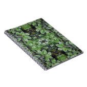 Rubber Tree Leaf Muster Notizblock (Rechte Seite)